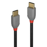 Lindy 3m USB 2.0 Type C to C Cable, Anthra Line