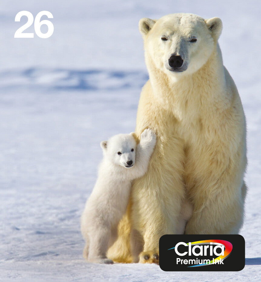 Epson Polar bear 26 Claria Premium Multipack 4-colours EasyMail Ink
