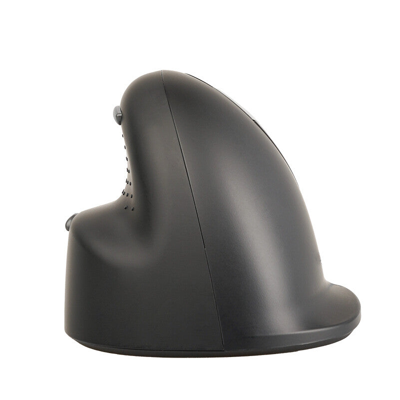 R-Go Tools Ergonomic mouse R-Go HE Break with break software, medium (hand size 165-185 mm), right-handed, Wired, black