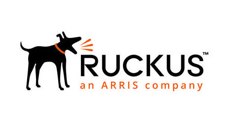 RUCKUS Networks LSR-CLE1-010K software license/upgrade 1 license(s) 5 year(s)