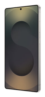 Samsung Galaxy S25 Ultra 17.5 cm (6.9") Dual SIM Android 15 5G USB Type-C 12 GB 512 GB 5000 mAh Black, Titanium