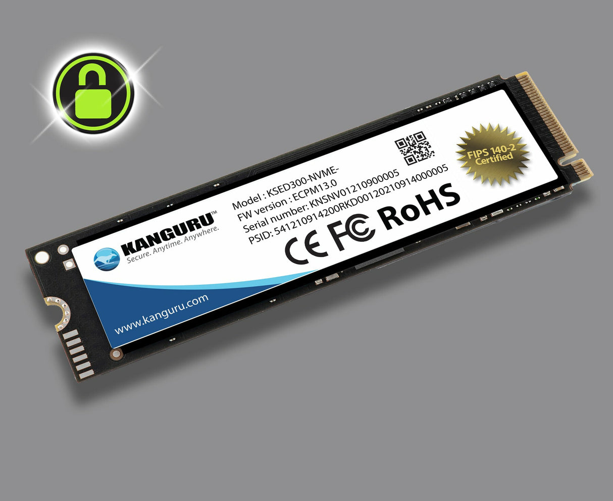 iStorage Kanguru Defender SED300 Hardware-Based Self-Encrypting Internal SSD 500 GB|FIPS 140-2 Certified | M.2 2280 Internal | PCI Express NVMe (PCI Express NVMe 4.0 x4) | TAA Compliant