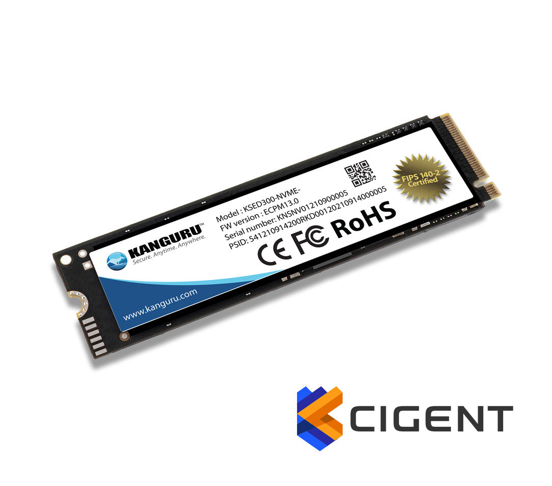iStorage Kanguru Defender SED300 Hardware-Based Self-Encrypting Internal SSD 500 GB|FIPS 140-2 Certified | M.2 2280 Internal | PCI Express NVMe (PCI Express NVMe 4.0 x4) | TAA Compliant