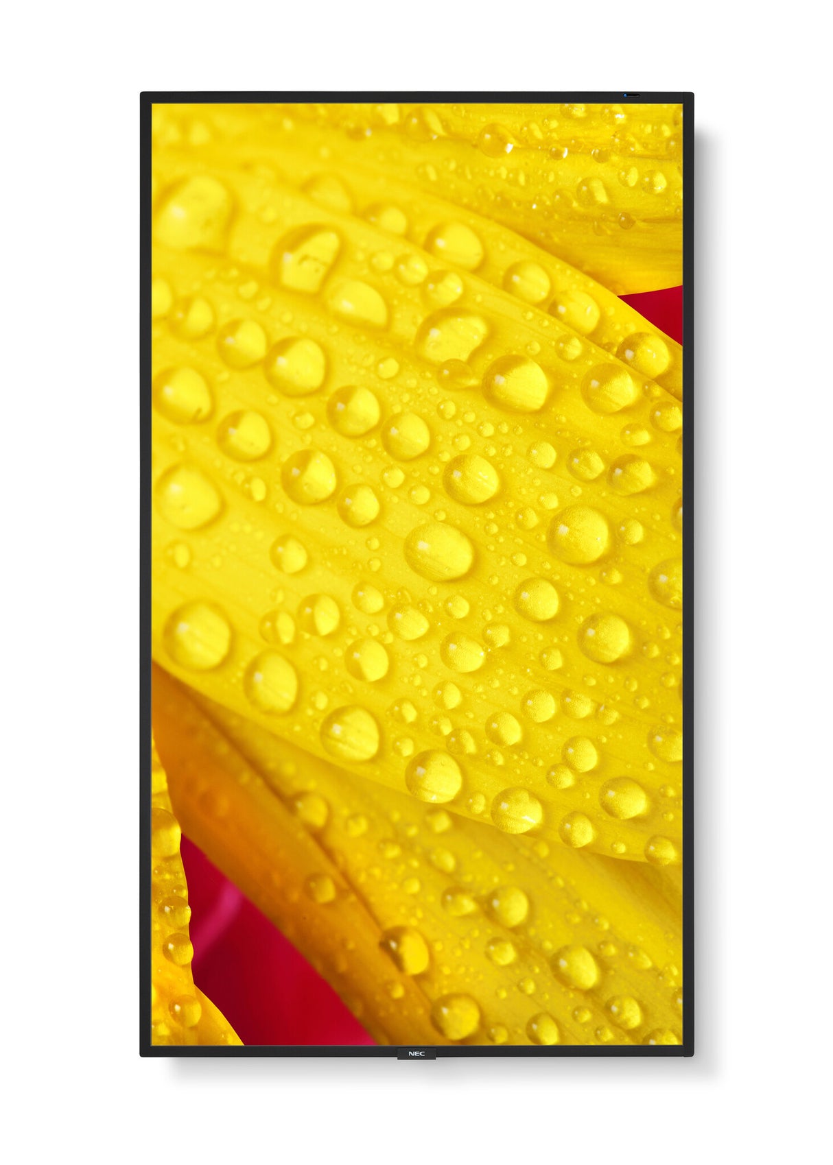 NEC MultiSync M551-2 Kiosk design 127 cm (50") LED 4K Ultra HD Black Built-in processor