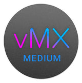 Cisco Meraki vMX - Medium, 1 license, Enterprise Agreement 1 license(s)