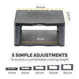 Fellowes Premium Monitor Riser Graphite