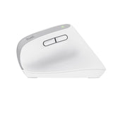 Trust Bayo+ mouse Office Right-hand RF Wireless + Bluetooth Optical 2400 DPI