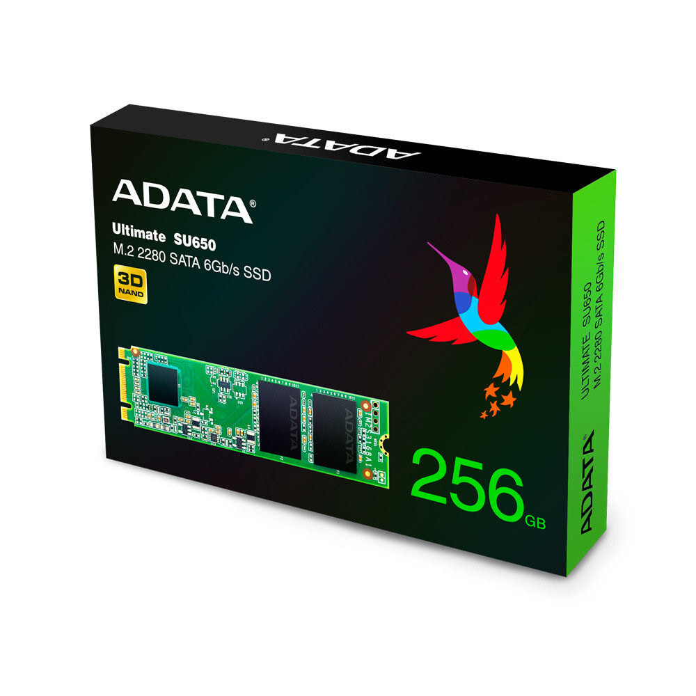 Adata Ultimate SU650 (ASU650NS38-256GT-C) SSD M.2 Sata 2280 3D NAND 256 Go, lecture 550 Mo/s, écriture 500 Mo/s, garantie 3 ans