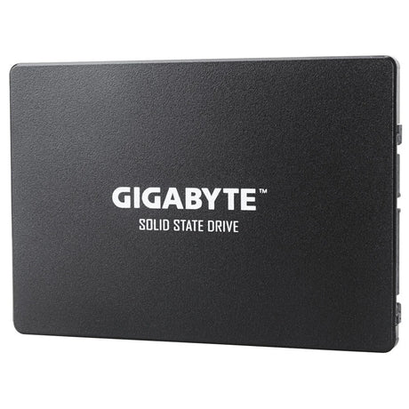 Gigabyte GP-GSTFS31100TNTD internal solid state drive