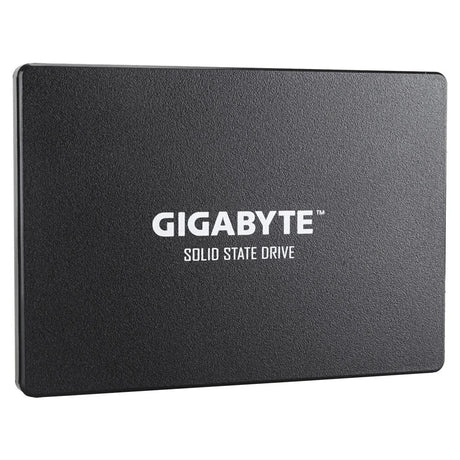 Gigabyte GP-GSTFS31240GNTD internal solid state drive
