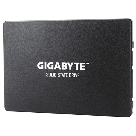 Gigabyte GP-GSTFS31240GNTD internal solid state drive