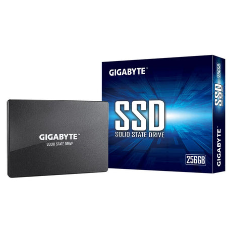 Gigabyte GP-GSTFS31256GTND internal solid state drive