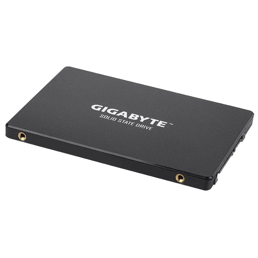 Gigabyte GP-GSTFS31480GNTD internal solid state drive