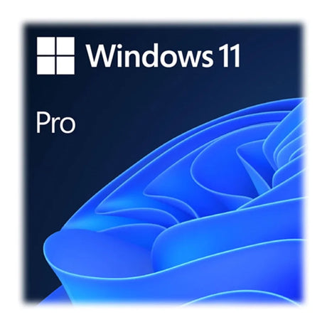 Microsoft Windows 11 Pro 64bit All Language ESD - Software