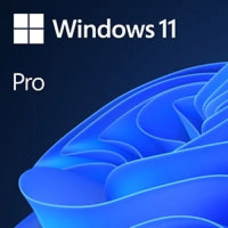 Microsoft Windows 11 Professional 64bit English OEI DVD