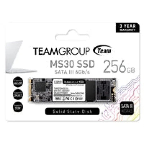 Team MS30 256GB M.2 2280 SATA III SSD - Internal SSD Drives